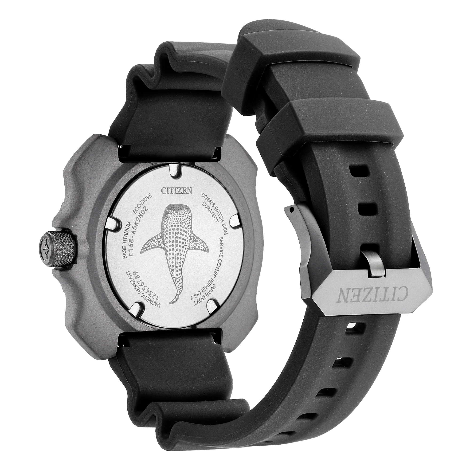 Promaster Dive - view 2