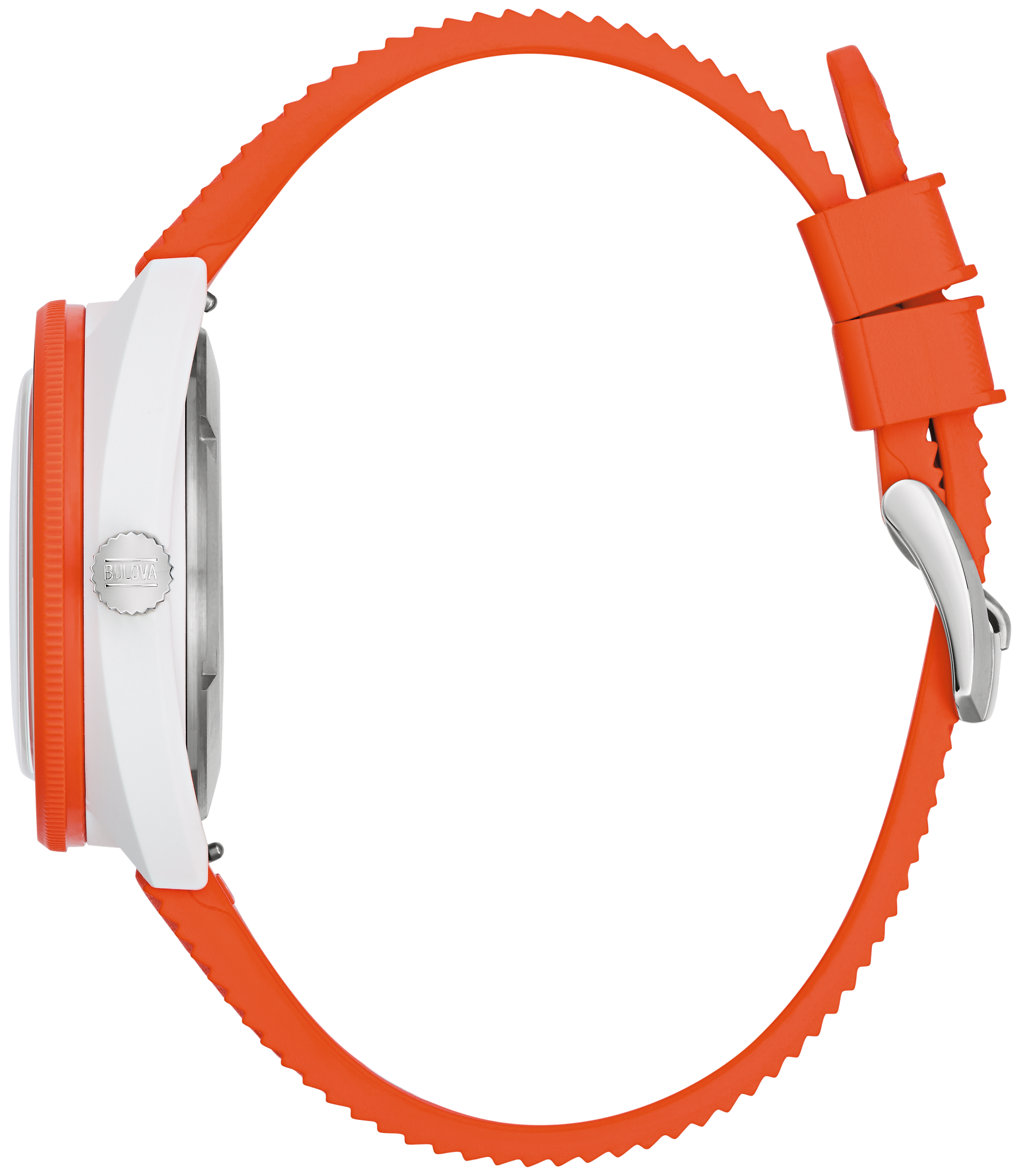 Snorkel - Clownfish