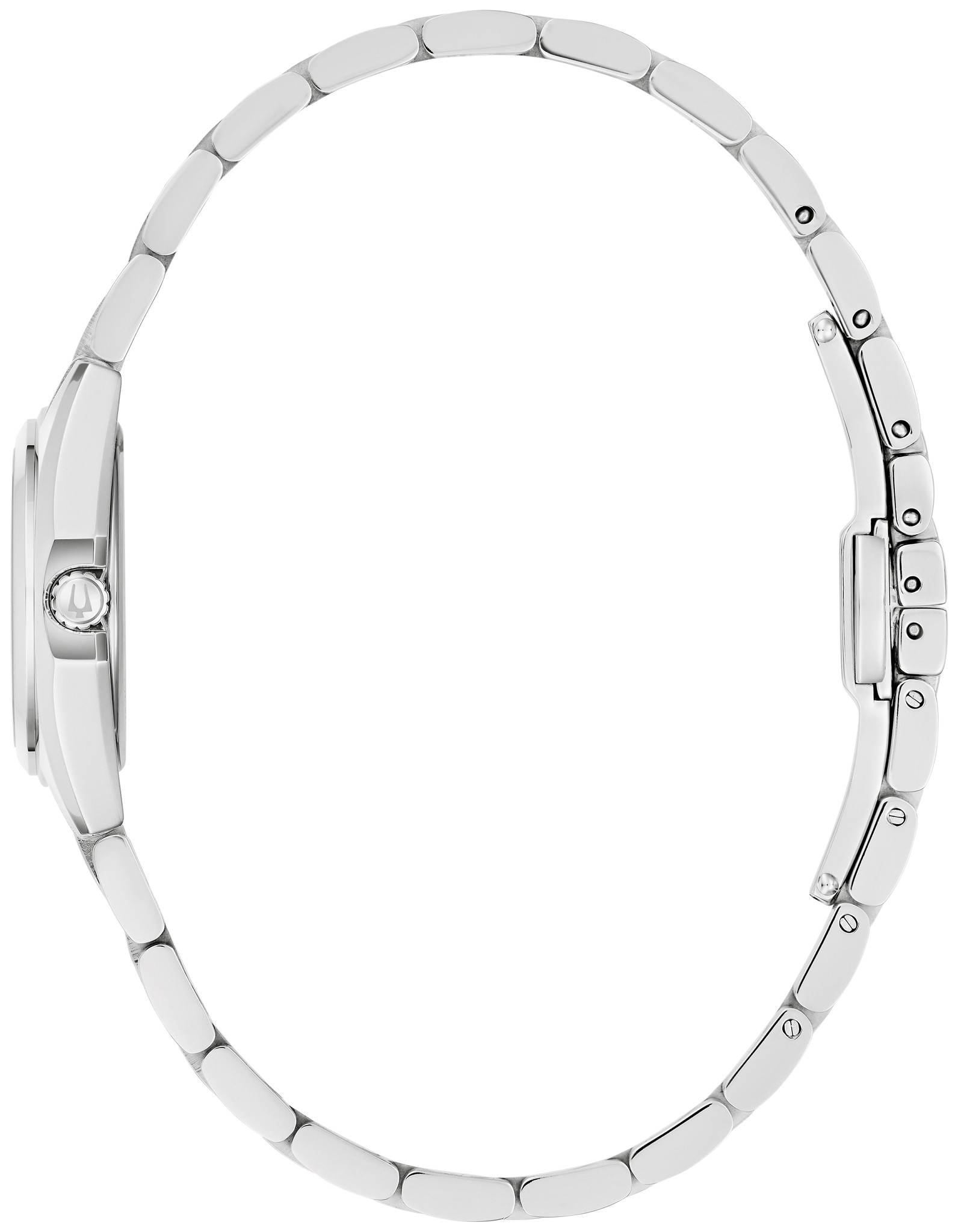 Surveyor image number 1