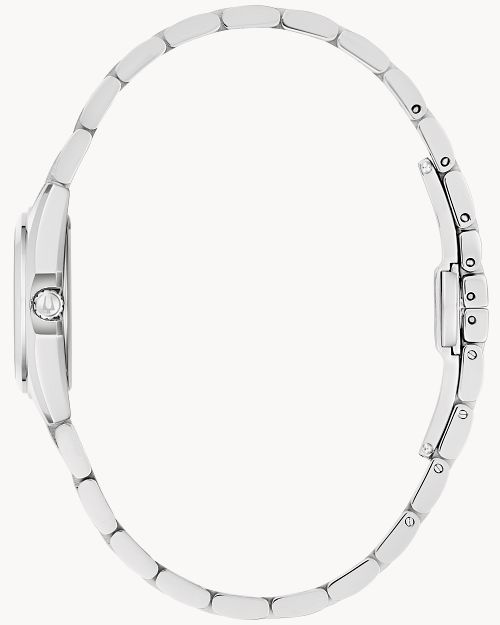 Surveyor image number 1