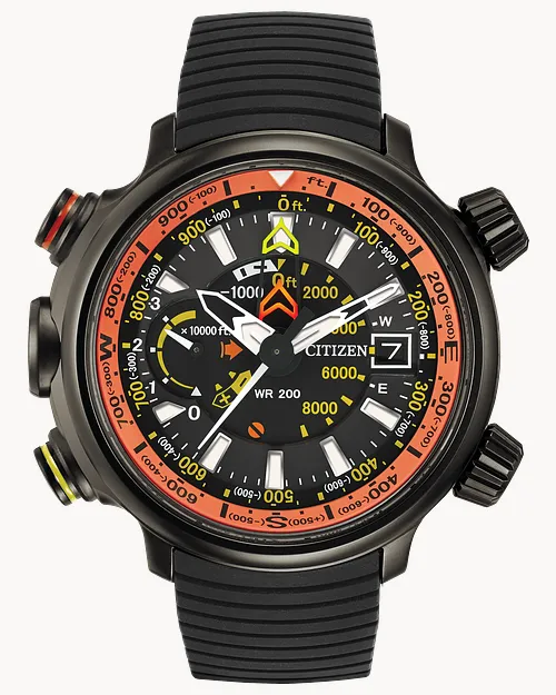 Promaster Altichron image number 0