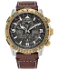 Promaster Skyhawk A-T