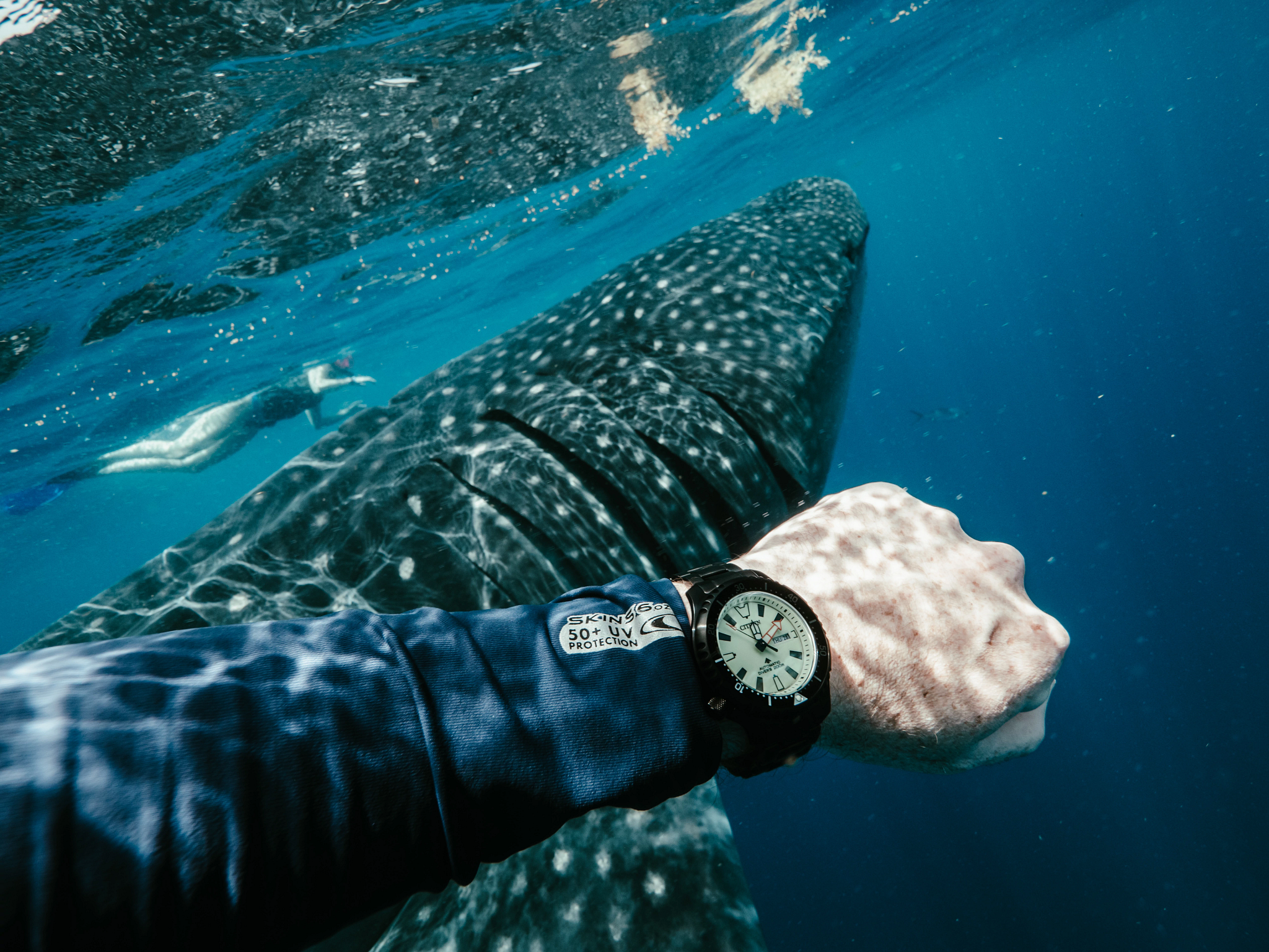 Promaster Dive Automatic