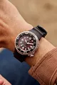 Promaster Dive E365 image number 5