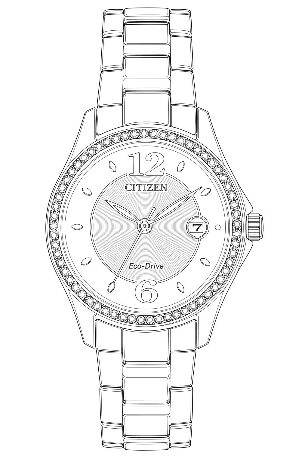 Watch technical diagram