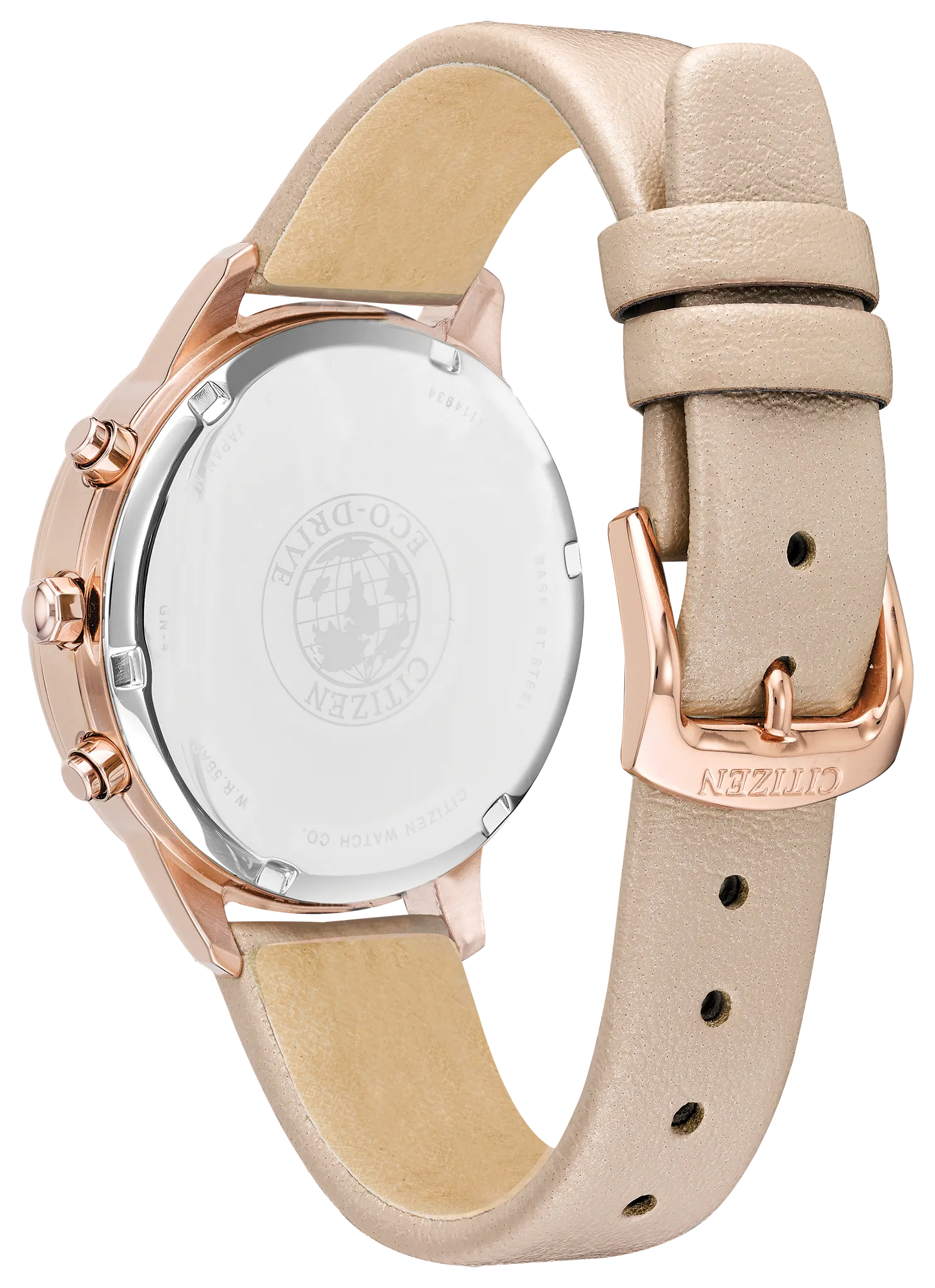 Chandler image number 2