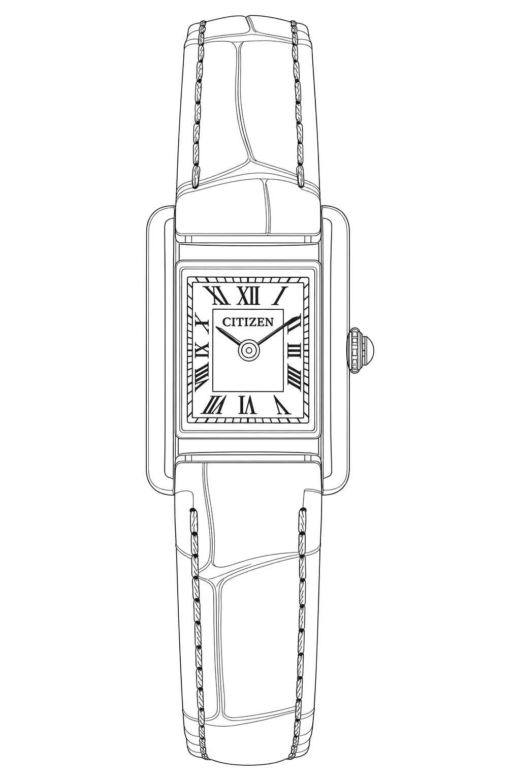 Watch technical diagram