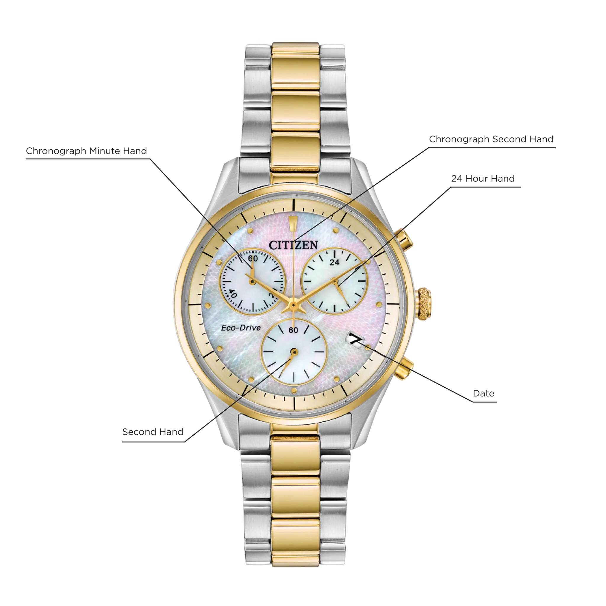 Chandler image number 4