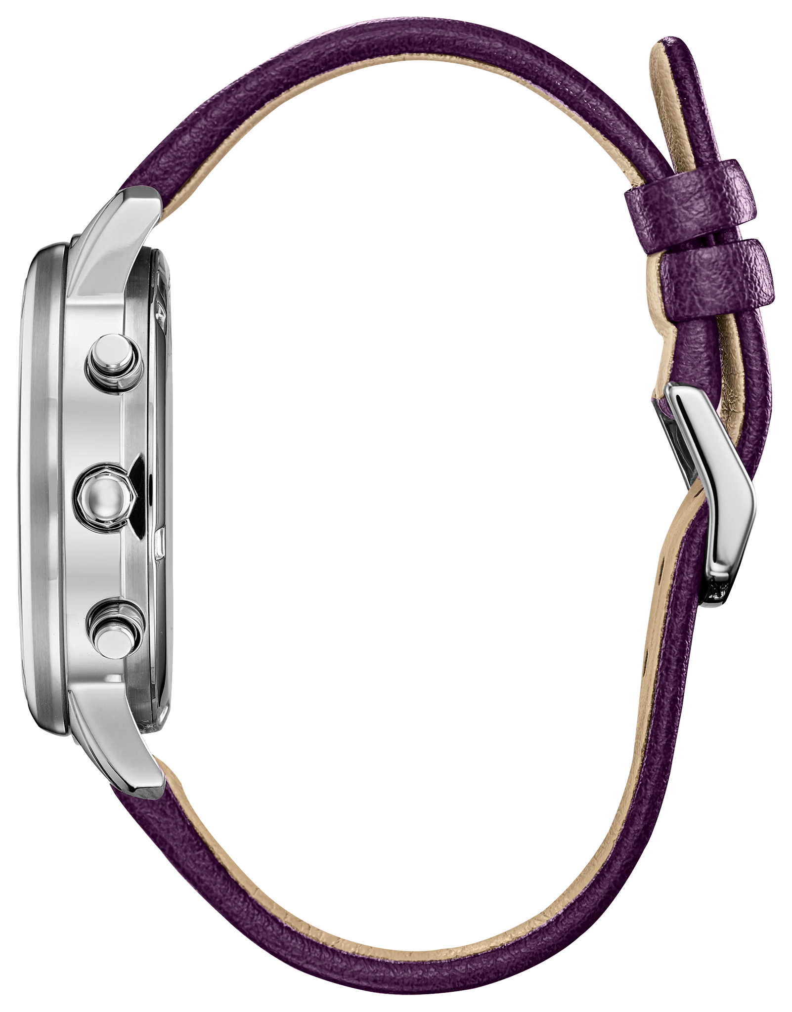 Chandler image number 1