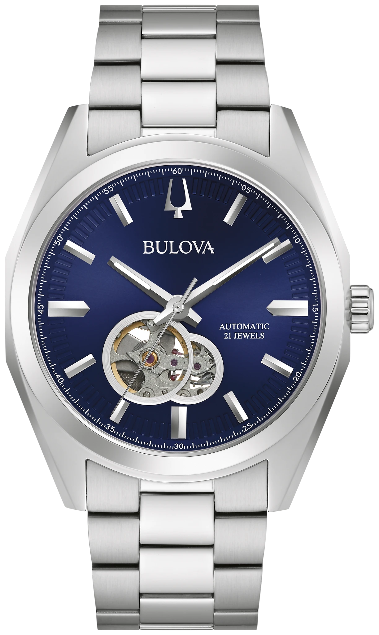 Surveyor image number 0