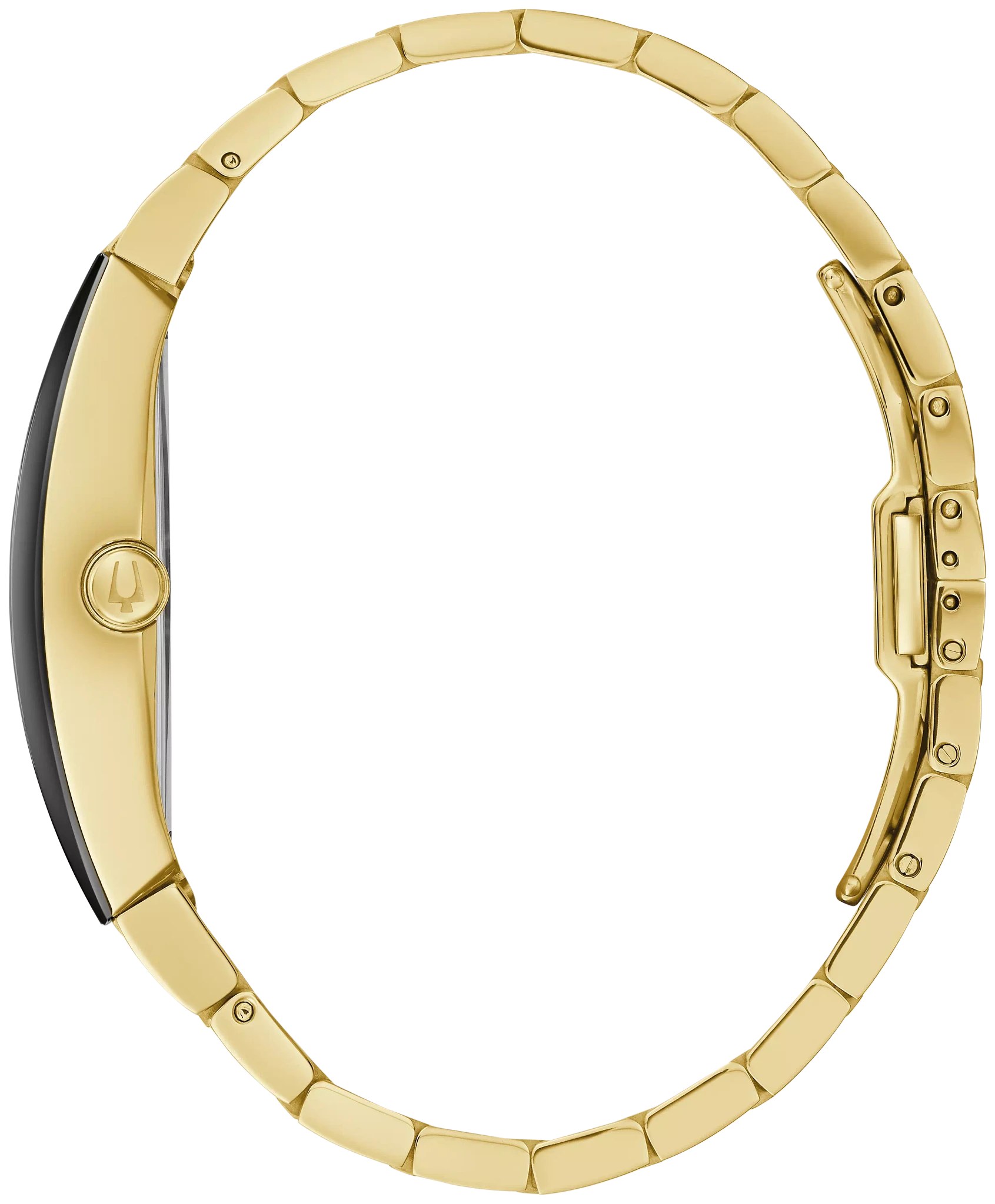 Gemini image number 1