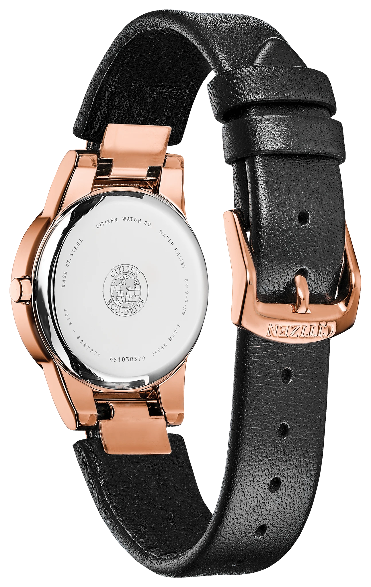 Axiom image number 2