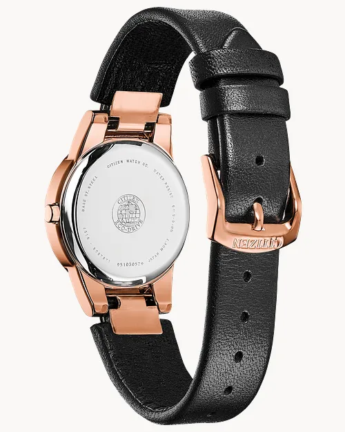 Axiom image number 2