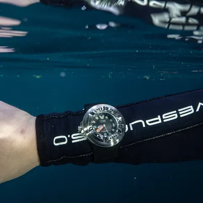 Promaster Dive "Ecozilla" Promaster Dive "Ecozilla"
