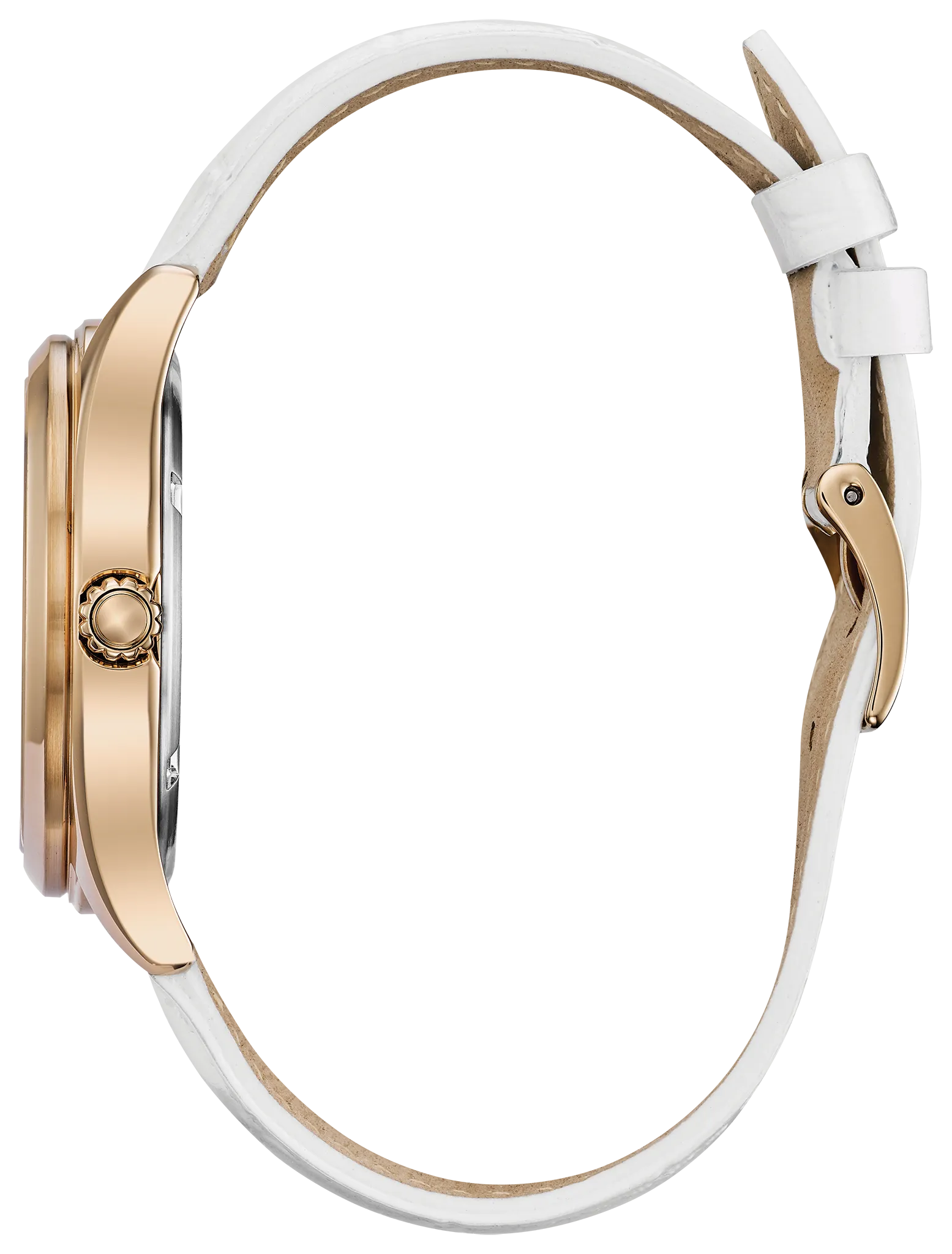 Corso image number 1