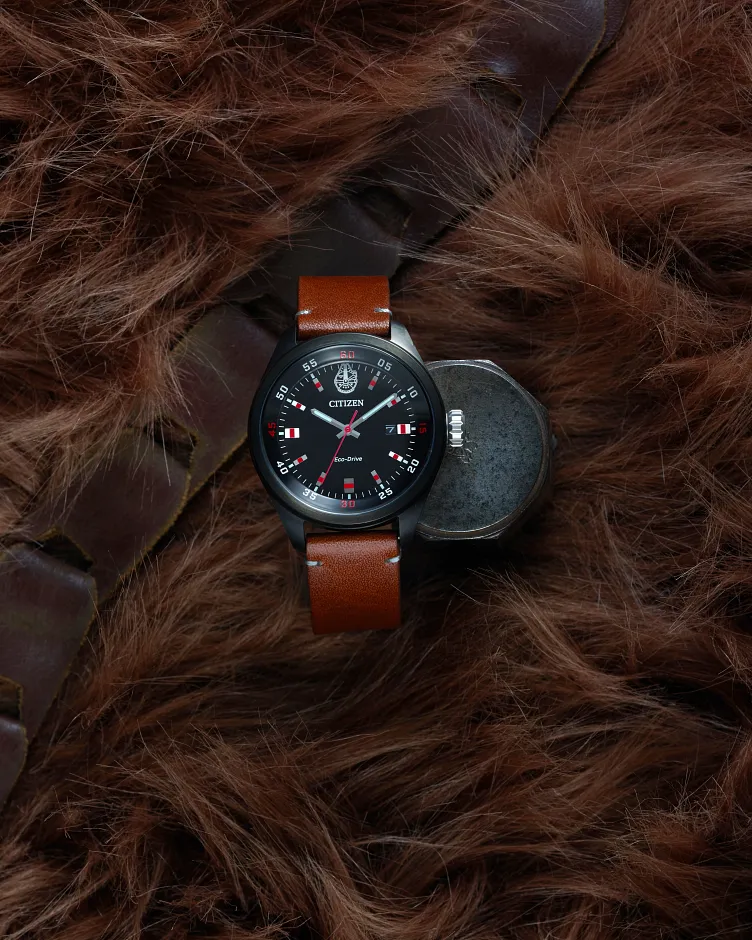 Chewbacca image number 8