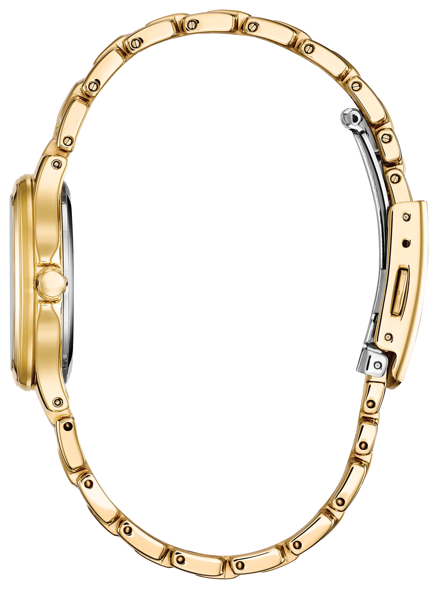 Chandler image number 1