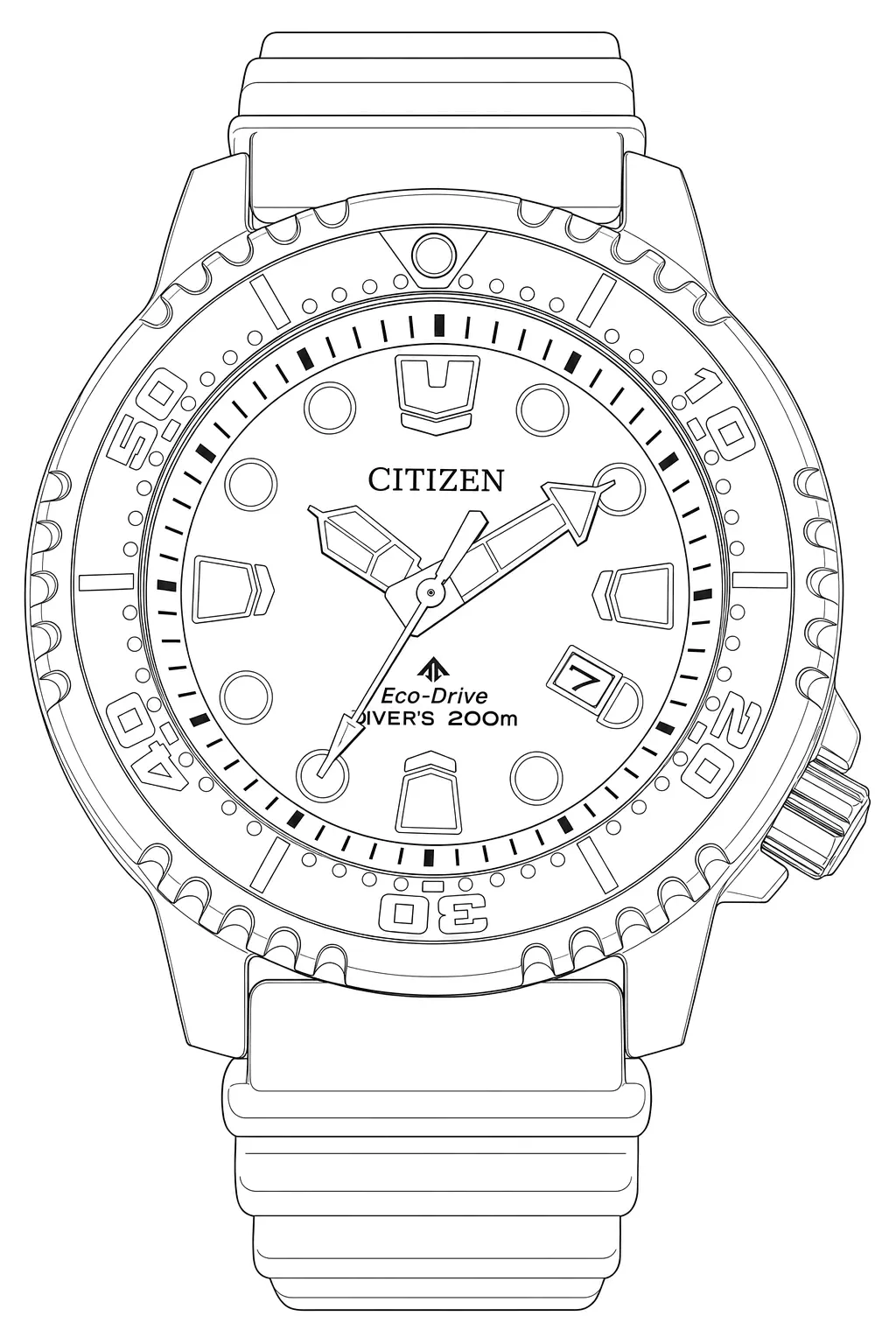 Watch technical diagram