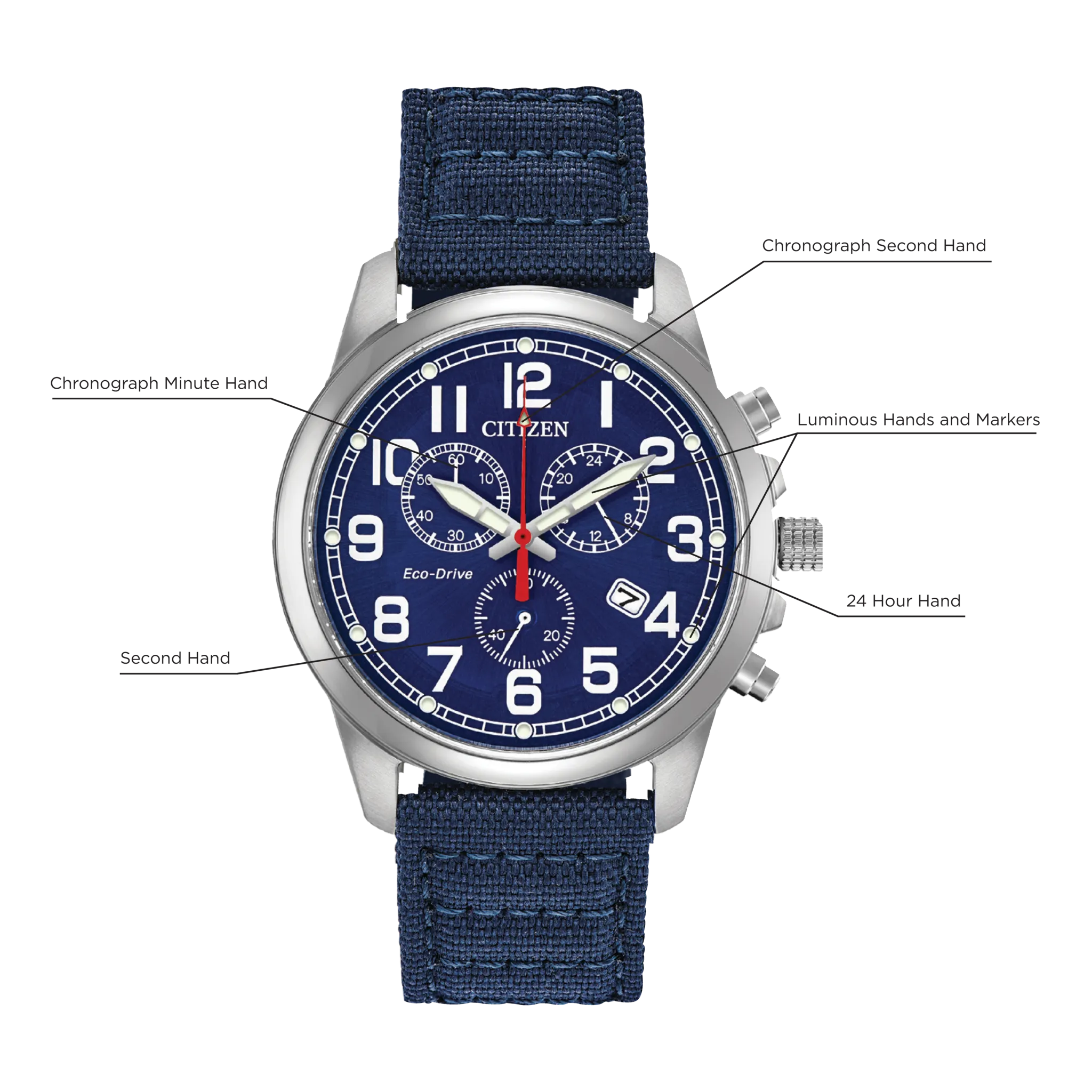 Chandler image number 4