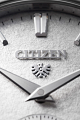 The Citizen Caliber 0210 image number 5