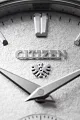 The CITIZEN Caliber 0210 image number 5