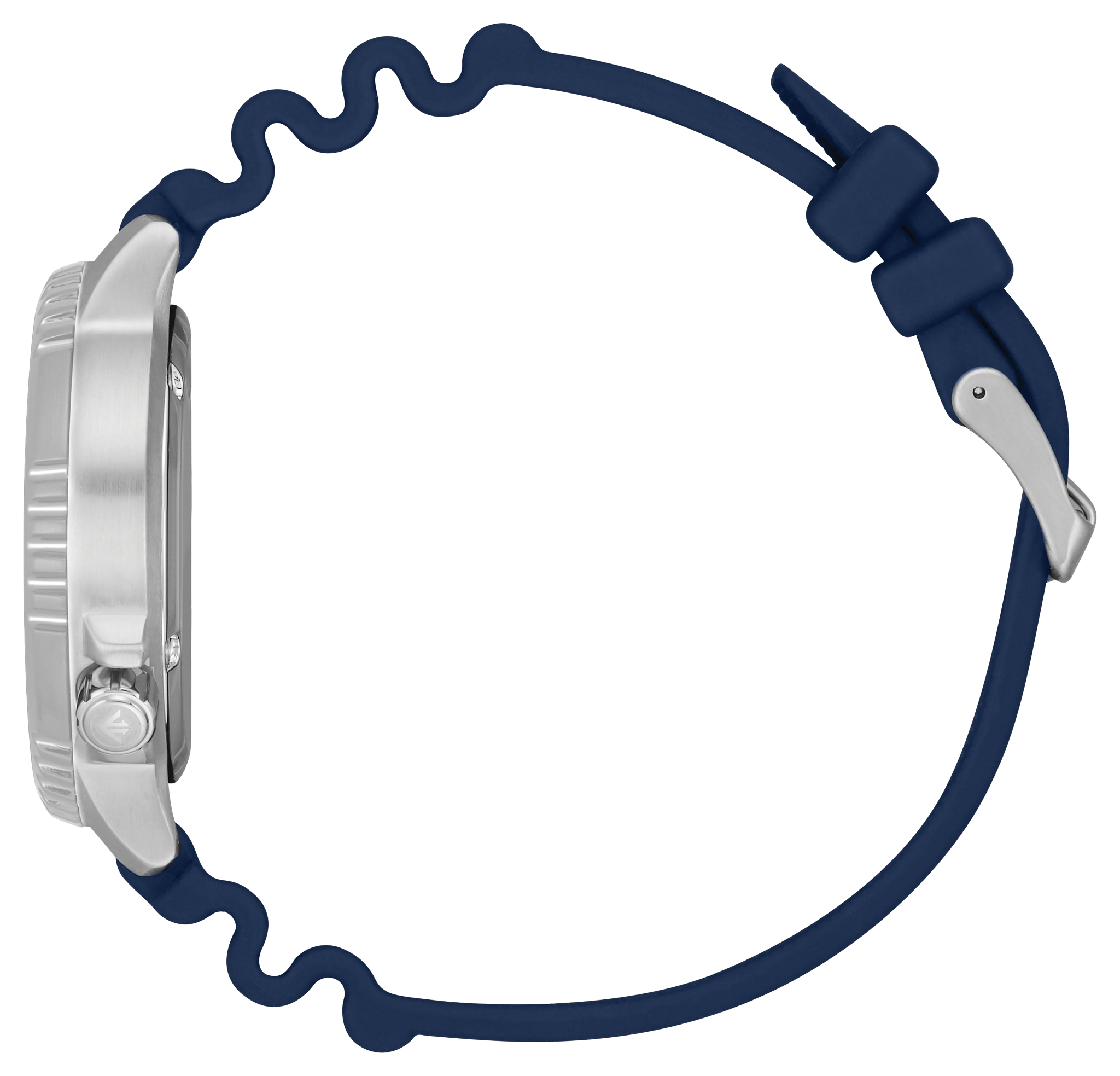 Promaster Dive image number NaN