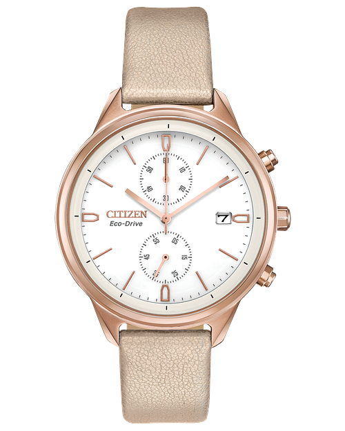 Citizen chandler ladies shop watch