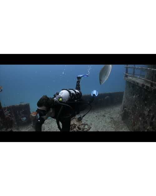 Promaster Dive image number 3