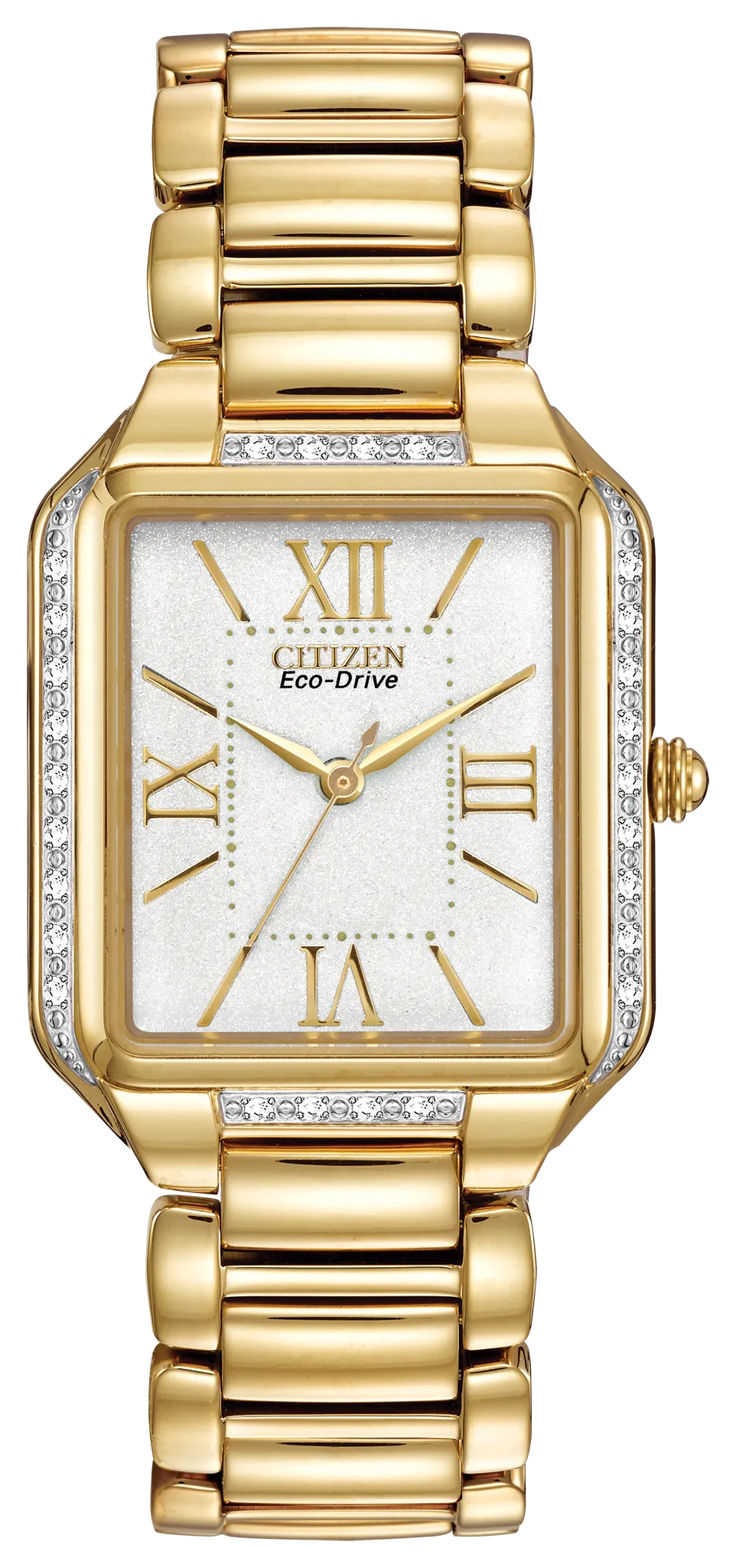 Ciena image number 0