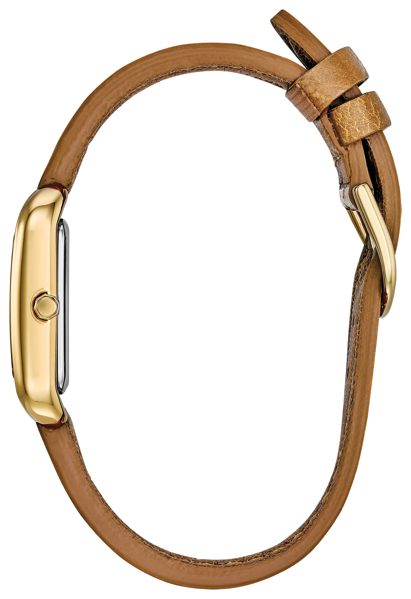 Chandler image number 1