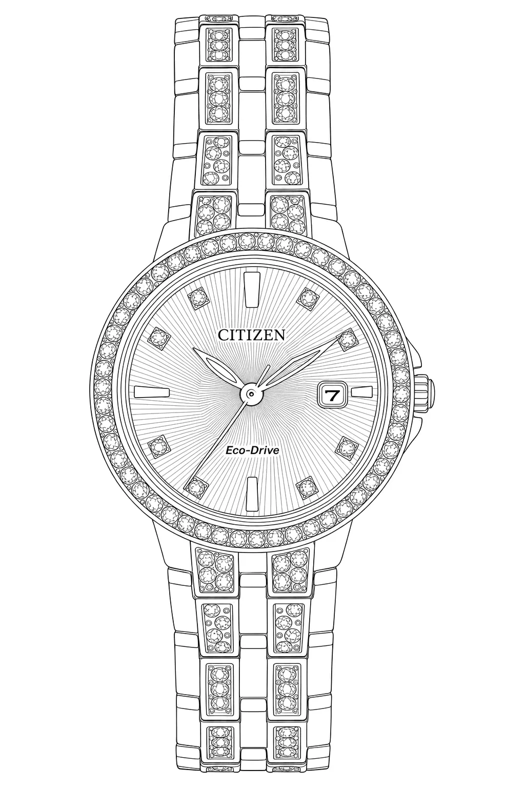 Watch technical diagram