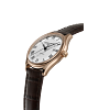 CLASSICS INDEX AUTOMATIC image number 1