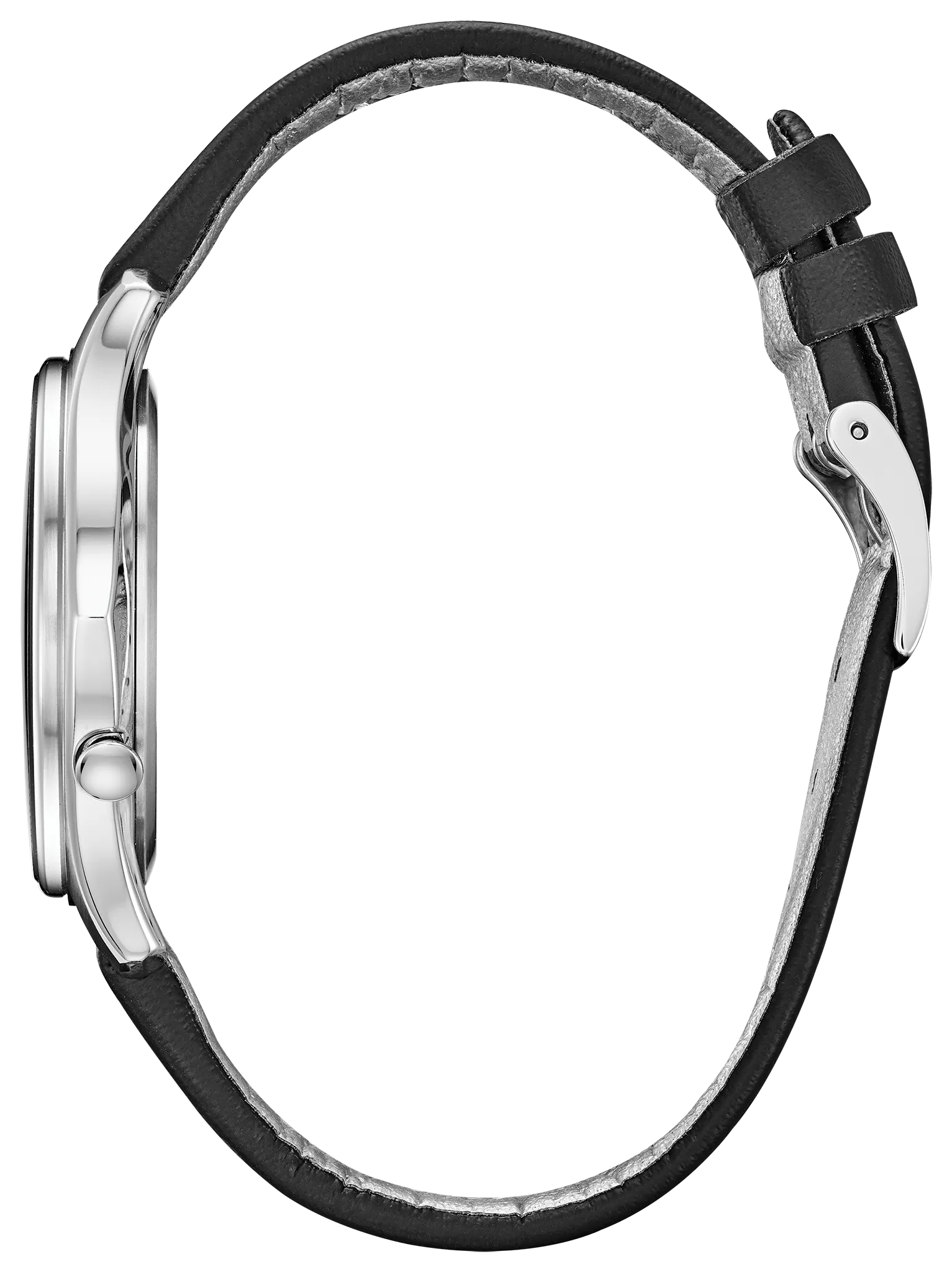 Modena image number 1