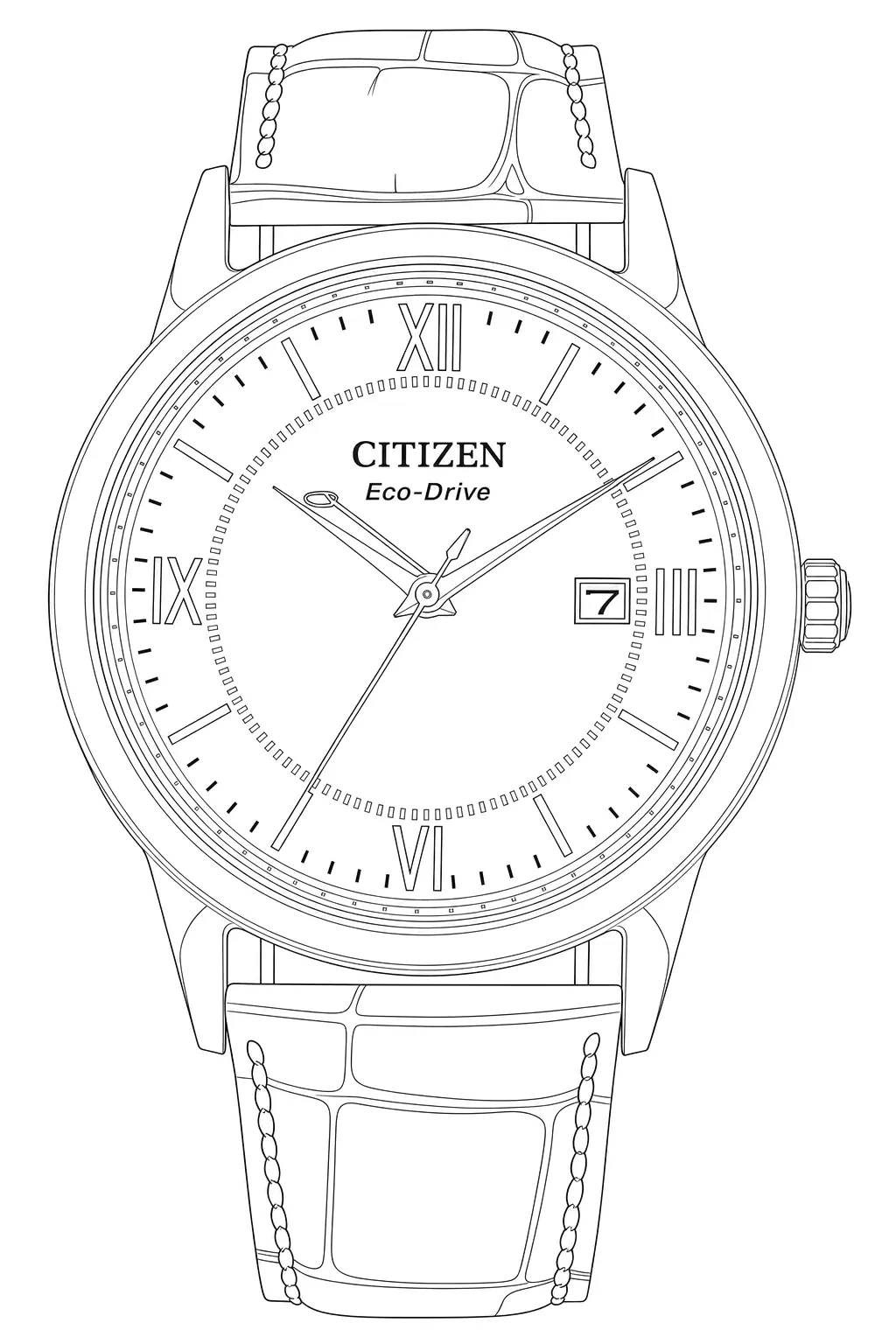 Watch technical diagram