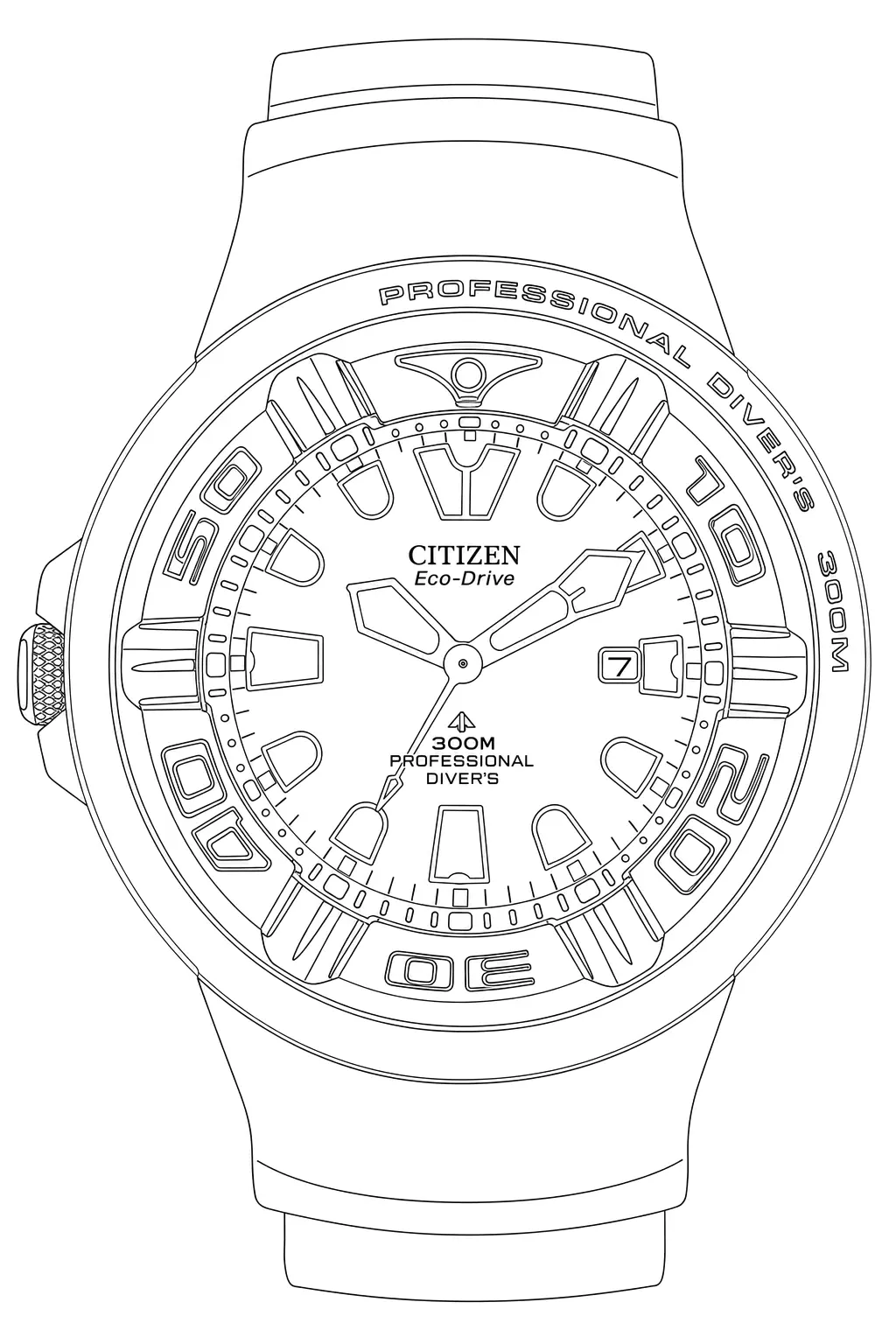 Watch technical diagram