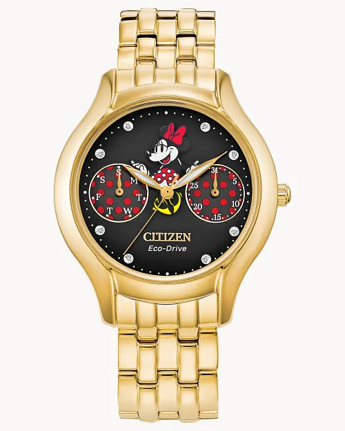Positively Minnie image number 0