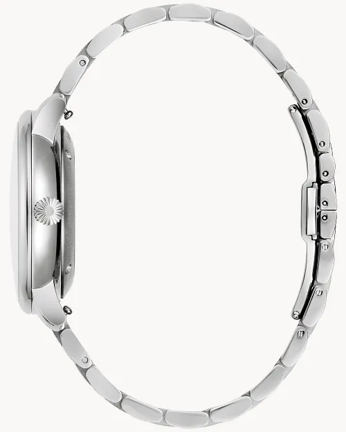 Hudson image number 1