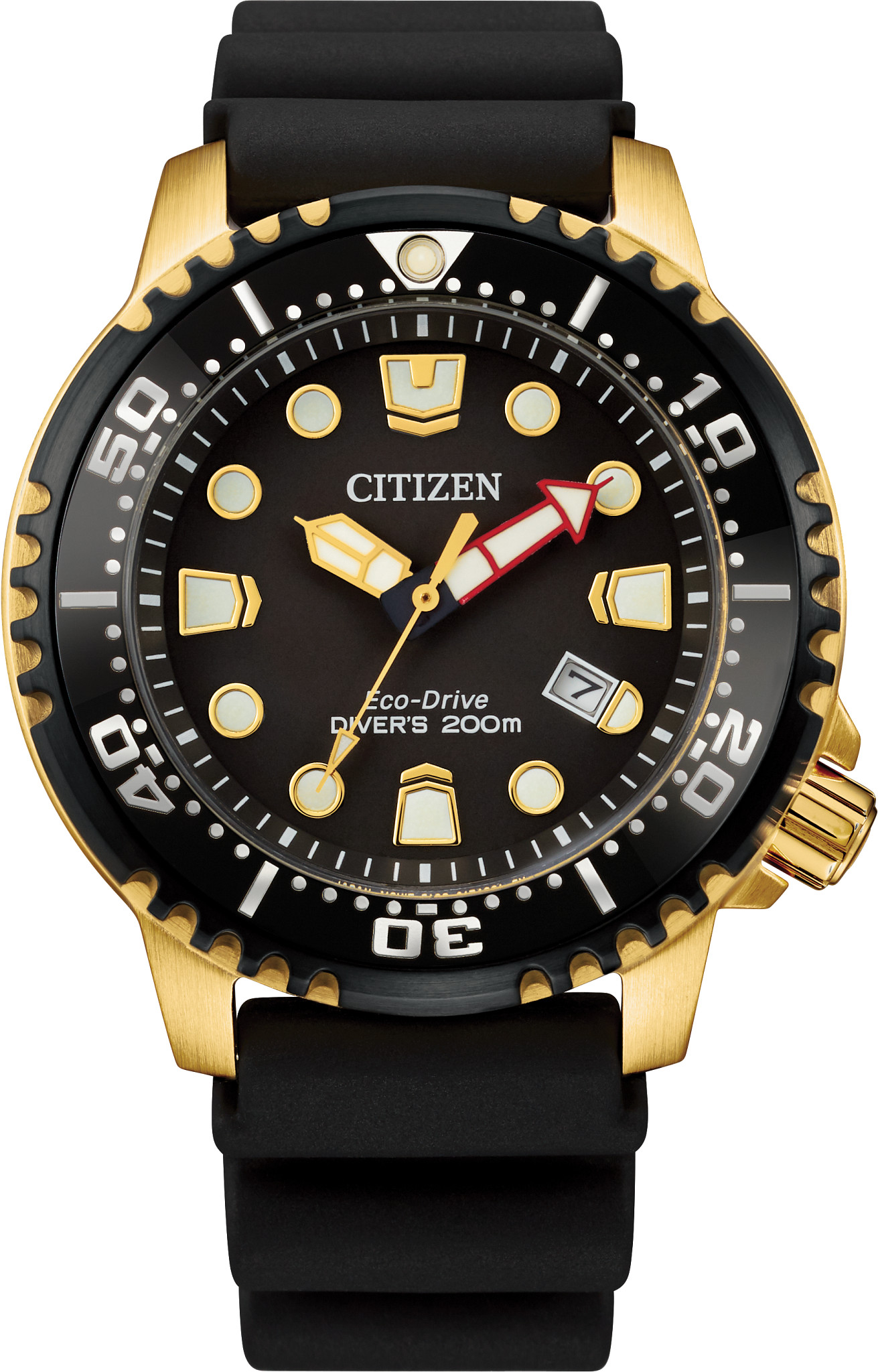 divers citizen