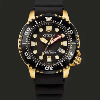 Promaster Dive Promaster Dive