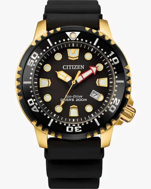 Promaster Dive image number 0