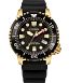 Promaster Dive