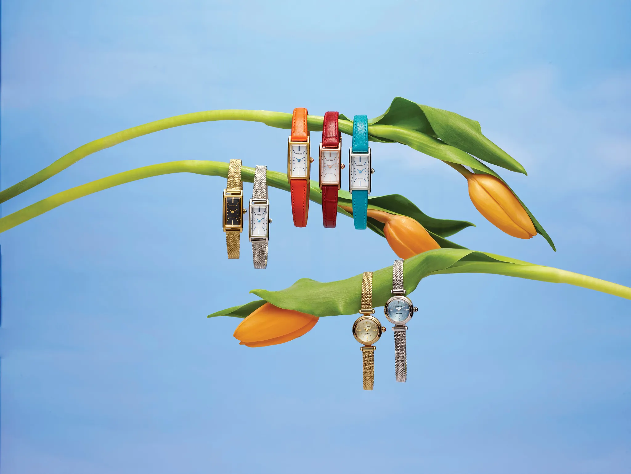 Une image du produit undefined