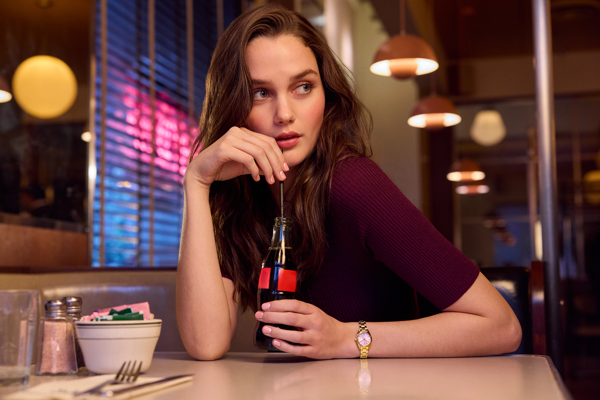 Surveyor image number 4