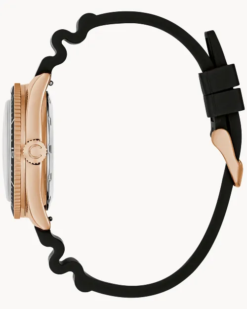 Sea Hunter image number 1