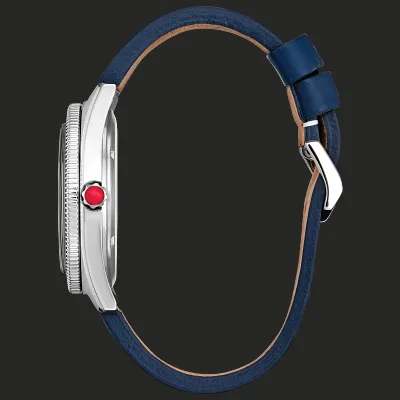 Captain America Soars Captain America Soars