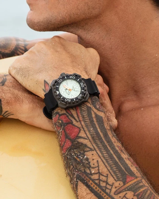 Promaster Plong&eacute;e professionnelle