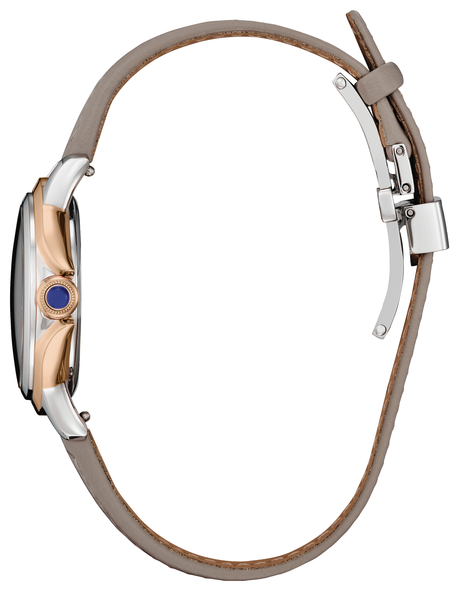 Ceci image number NaN