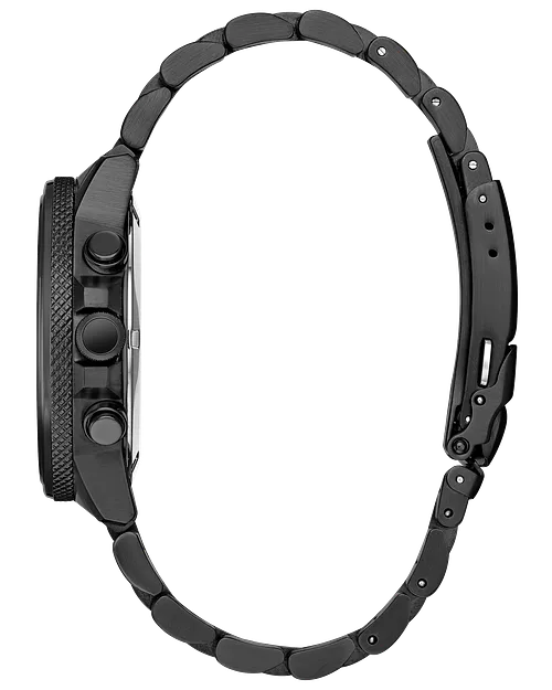 Panthère noire image number 1