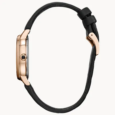 Celestial Mickey Celestial Mickey