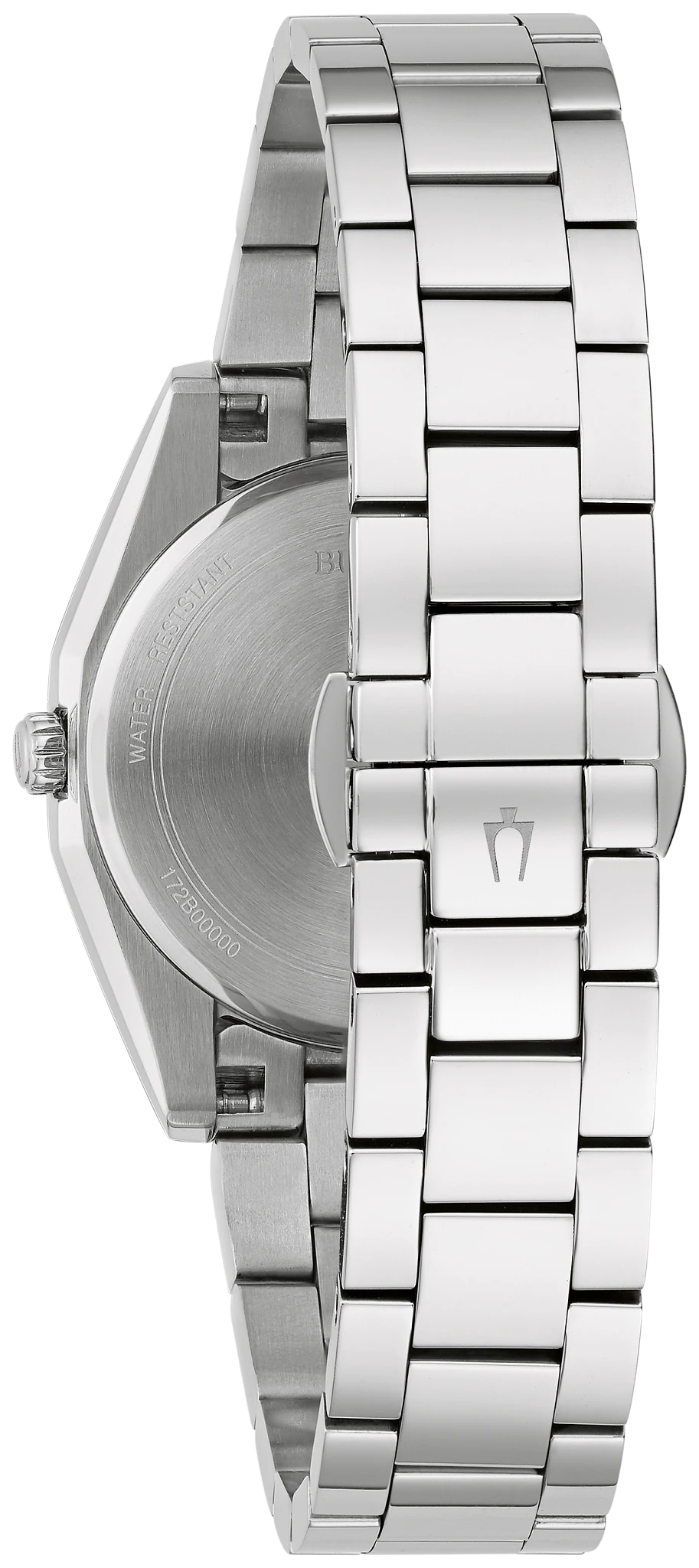 Surveyor image number 2